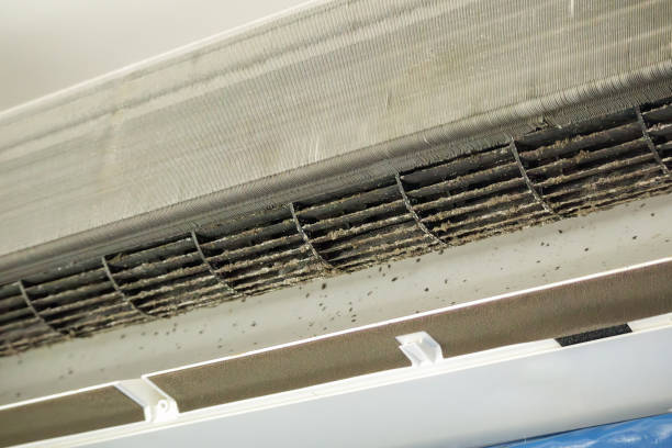 Best Air Duct Cleaning Near Me  in Fletcher, NC